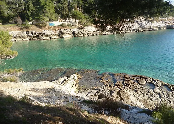 Irene Апартаменти *